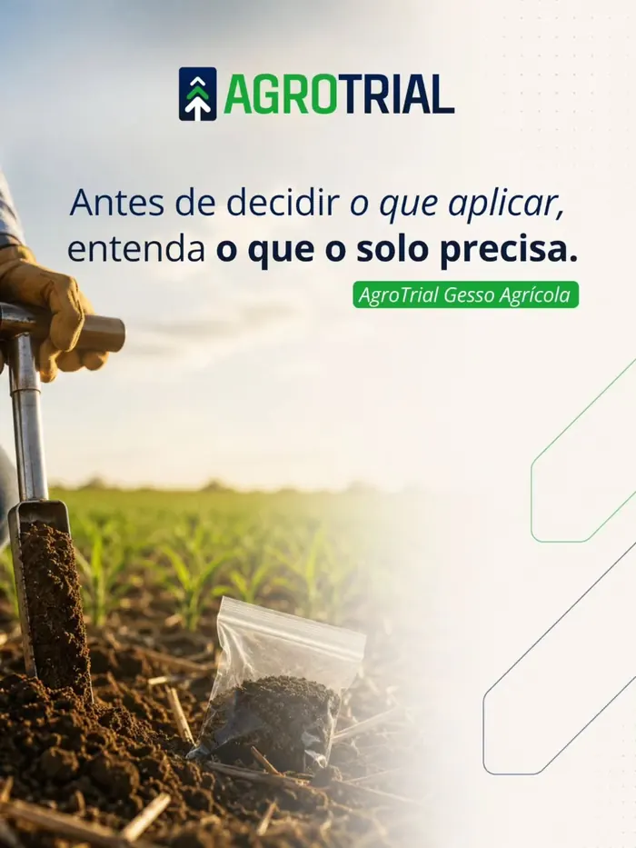 Análise de solo em campo