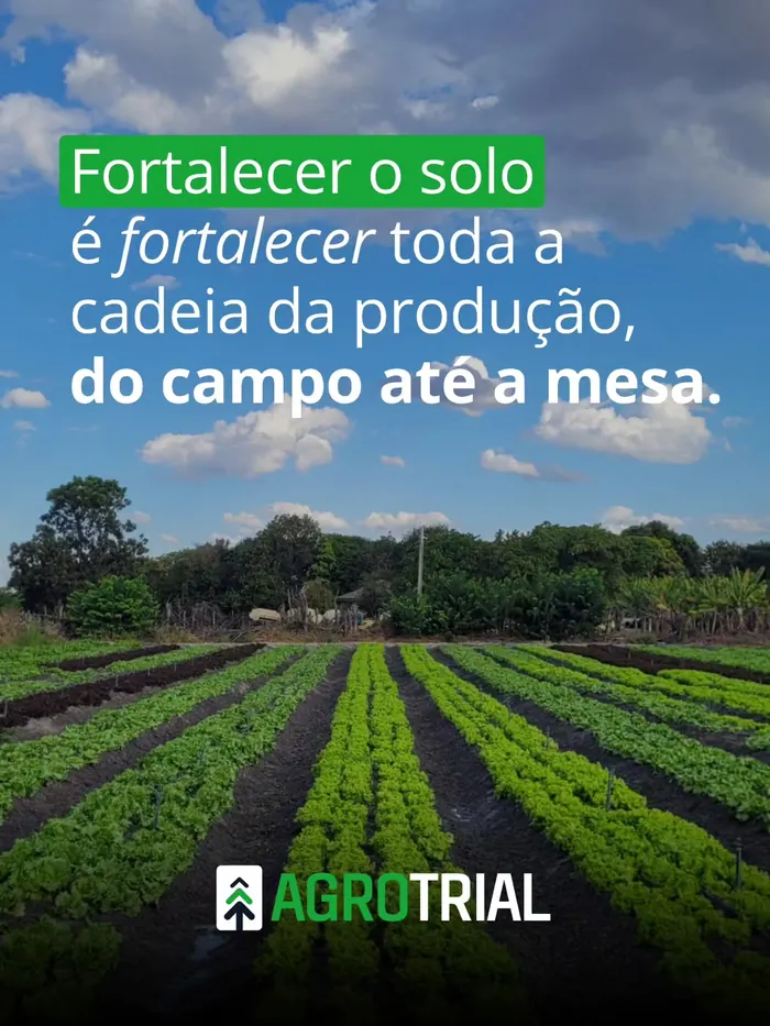 Gesso agrícola ensacado em horticultura